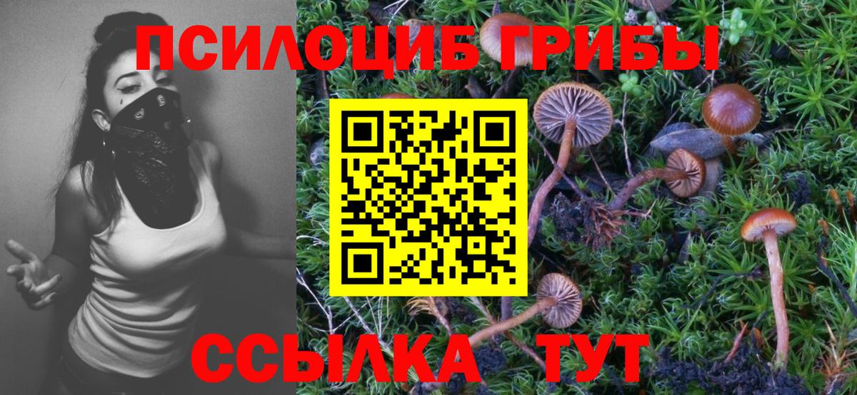 Псилоцибиновые грибы ЛСД  Псилоцибиновые грибы Psilocybe  купить наркоту  Десногорск  Вход с VPN 