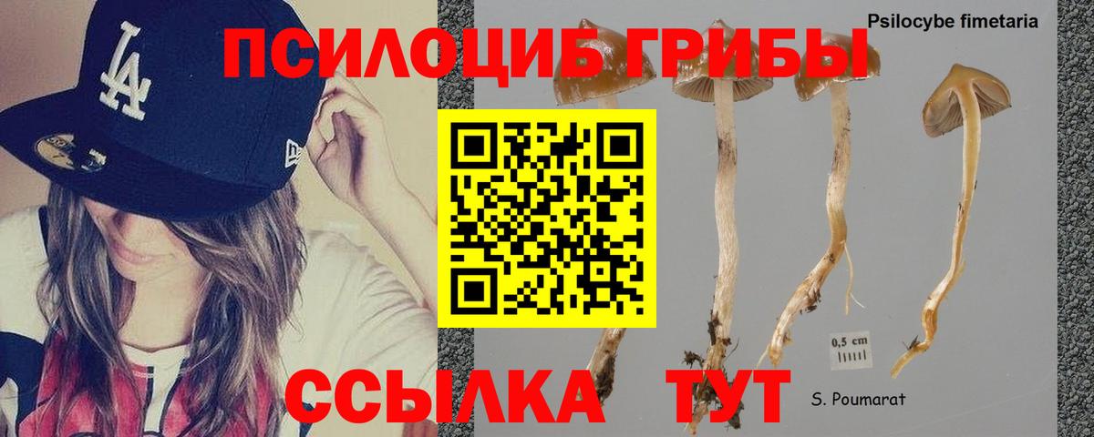 Галлюциногенные грибы мицелий Десногорск